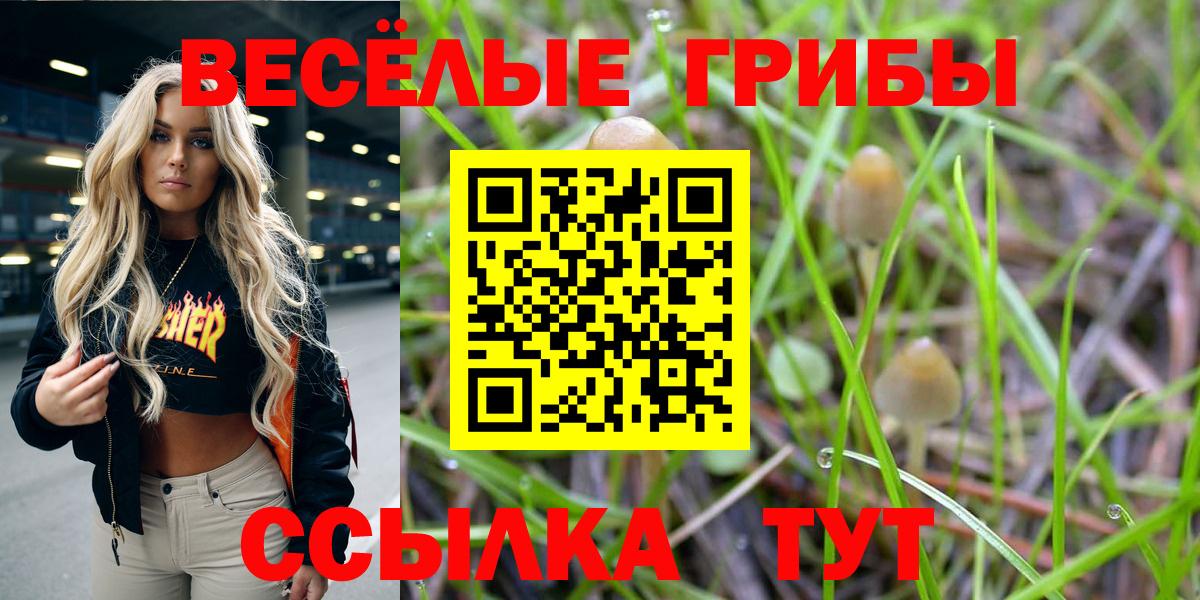 Псилоцибиновые грибы мухоморы  Вход с VPN  Петрозаводск  Псилоцибиновые грибы Cubensis 